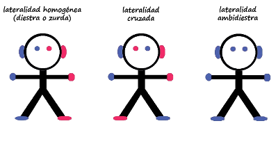 lateralidad perceptual