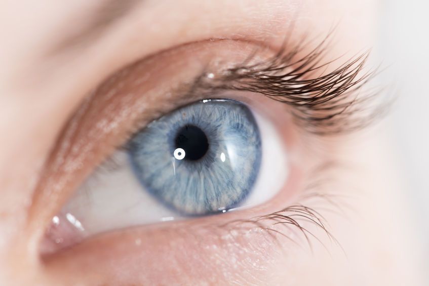 Annual Eye Exam & Fundus Photography | Comprehensive Eye Health - Avance Visual